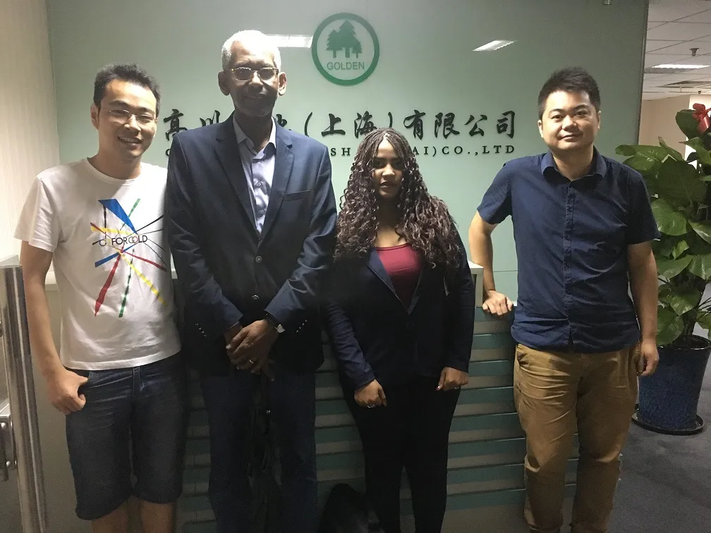 60GSM 70GSM 80GSM 90GSM Color Bristol Board Paper in Sheet or Roll