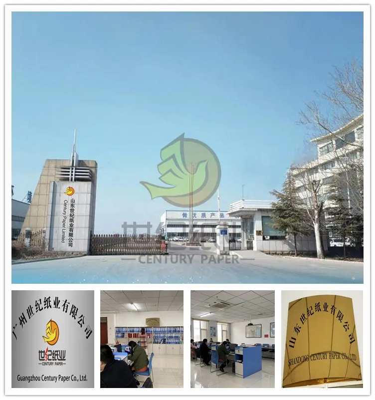 80g Printing on Coloured Paper / Color Copy Paper