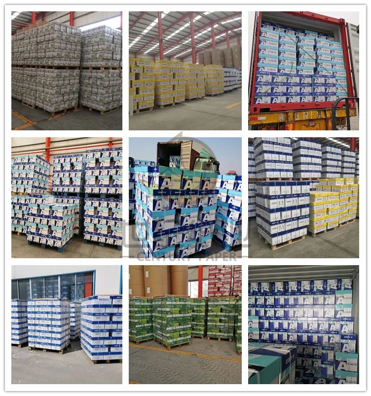 80g Printing on Coloured Paper / Color Copy Paper