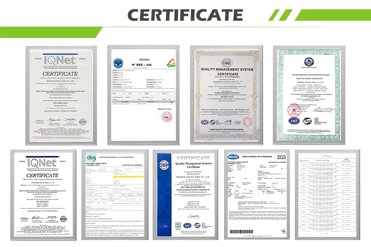 80g Printing on Coloured Paper / Color Copy Paper