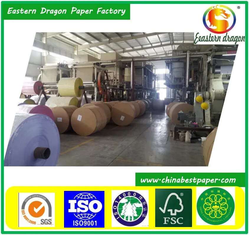 Printed Thermal Paper Roll, Can Be Customized POS Cash Register Paper Roll