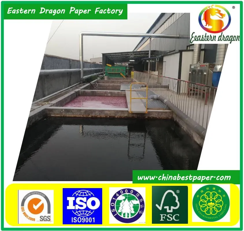 Printed Thermal Paper Roll, Can Be Customized POS Cash Register Paper Roll