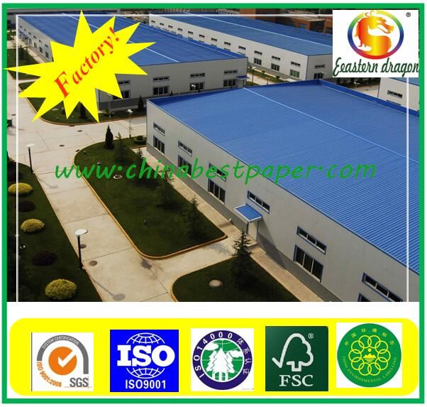 Thermal Receipt Printer Paper Label Roll